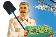 mo image